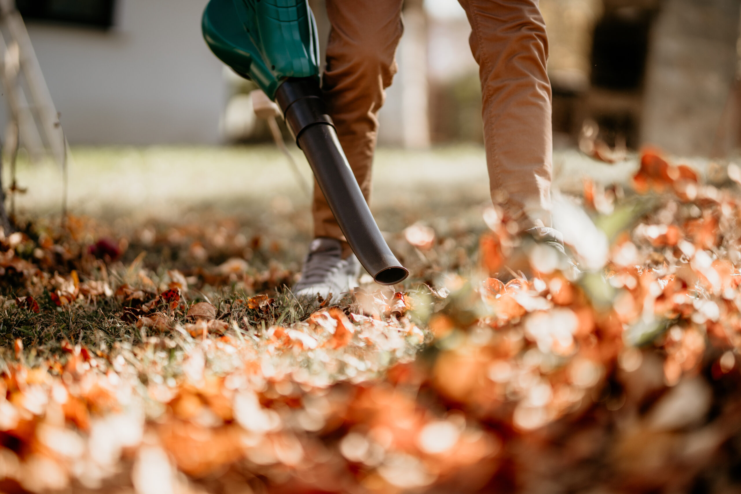 electric lawn service houston