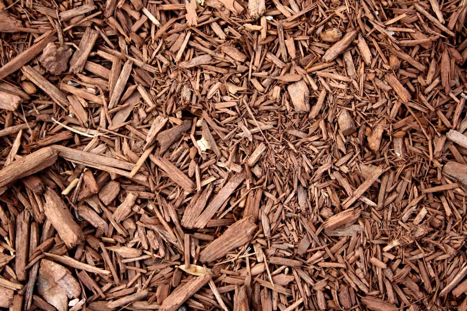 organic mulch houston